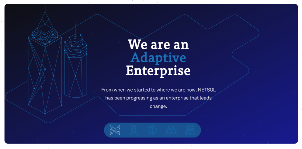 screenshot of NETSOL Technologies